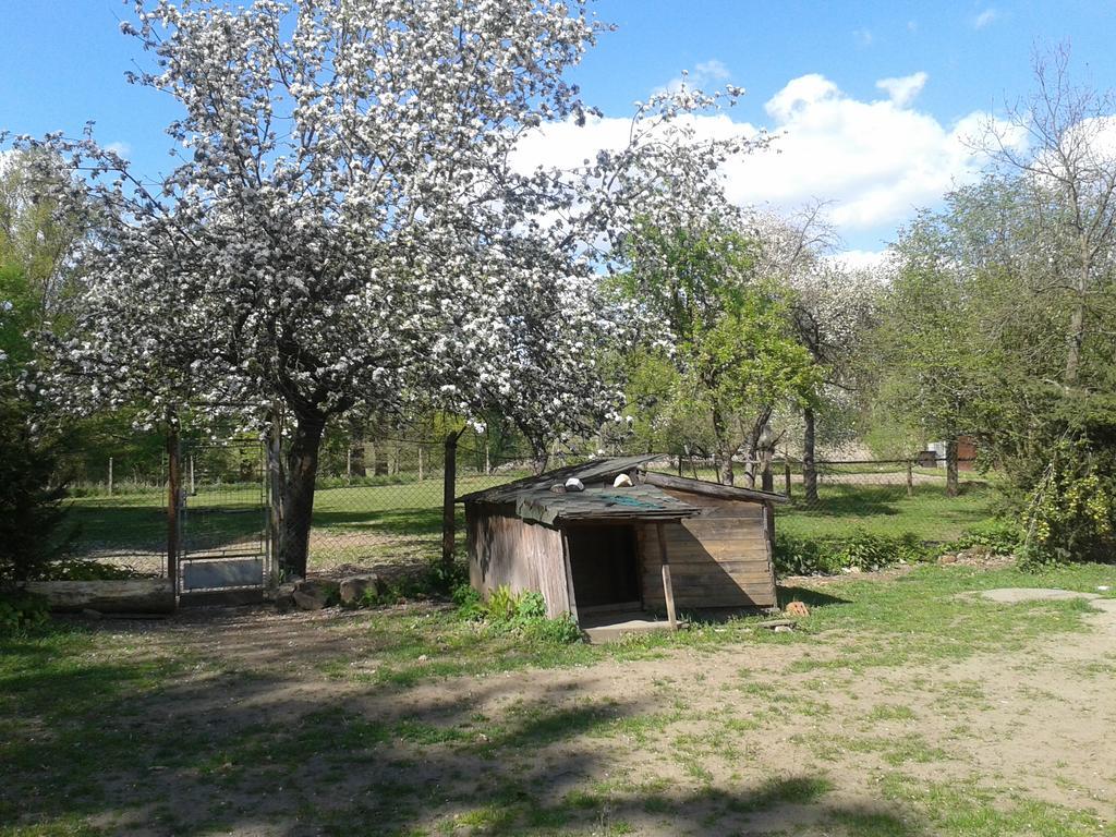 Chata Zahrada Madeta Veselí nad Lužnicí Exterior foto